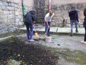 IMG-c29f39238d47df99679fe4b73c529688-V